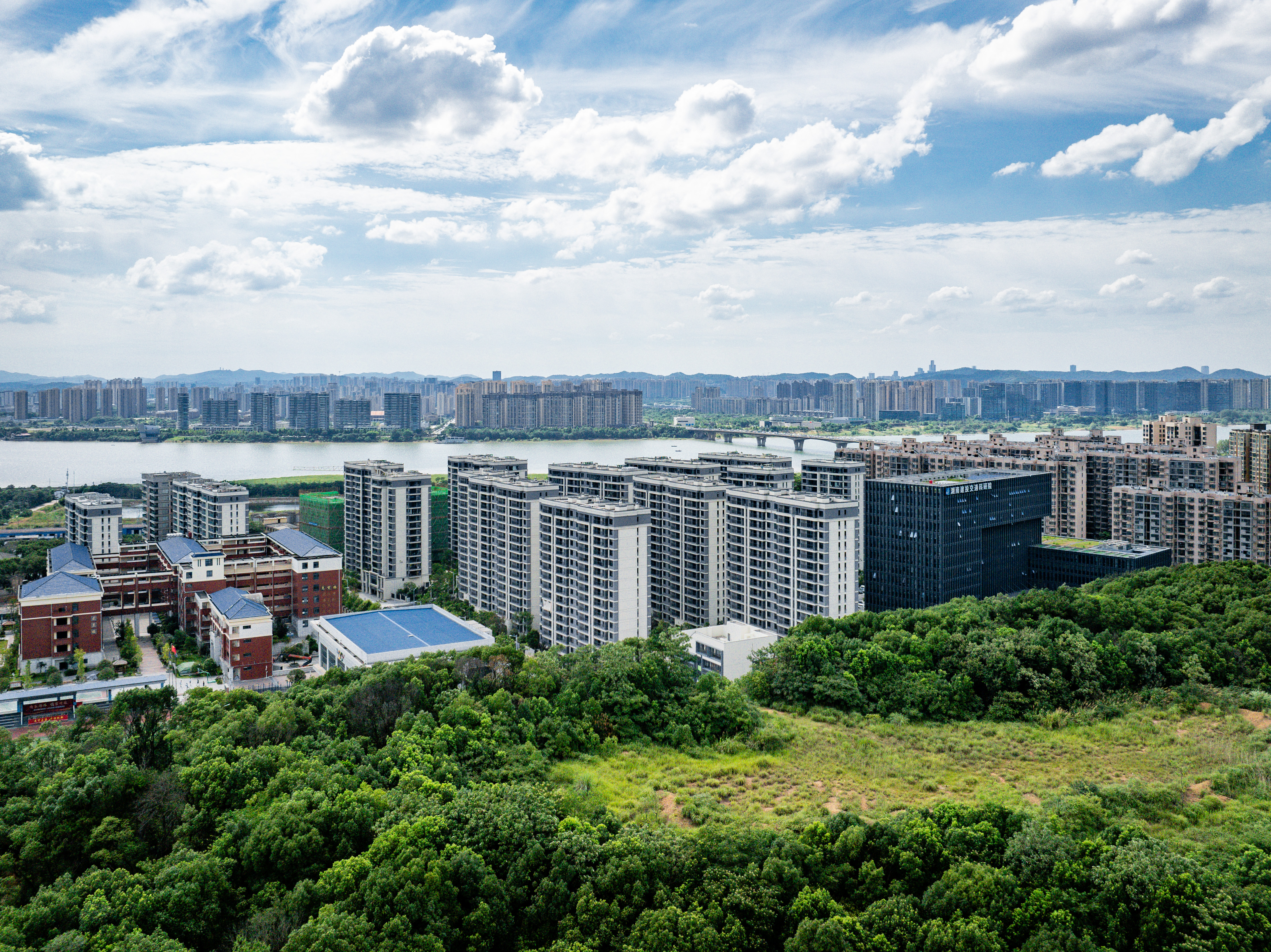 江悦和鸣